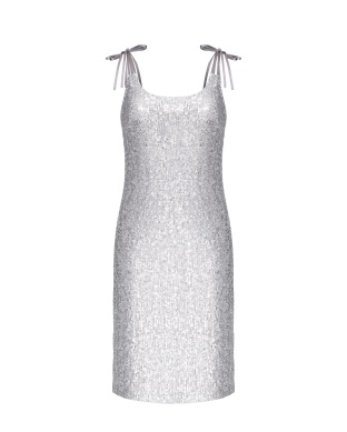 Silver Sequin Dress with Silk Ties